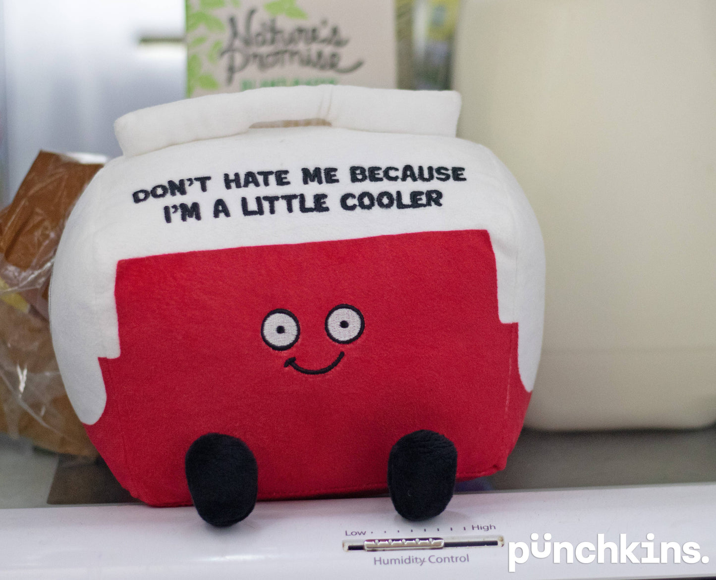 Punchkins Funny Cooler Plushie, Perfect Gift for Friends, Family, Work